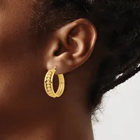 Gold hoop earrings with textured detailing on one side worn by a person shown in profile against a neutral background.
