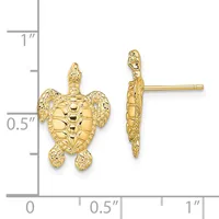 Gold turtle stud earrings shown front and side view next to a ruler measuring approximately 0.75 inches tall.