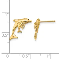 Gold dolphin stud earrings shown next to a ruler measuring approximately 0.75 inches in length.