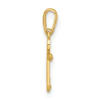 A gold-toned metal carabiner clip with an elongated teardrop-shaped top loop and cylindrical shaft, shown vertically against a white background.