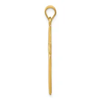 A long, slender gold hook with a loop at the top and decorative ridged detailing along the shaft, shown vertically against a white background.