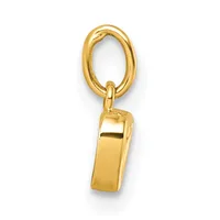 A gold whistle pendant with an oval loop attachment, shown against a white background.