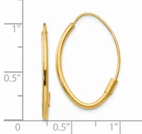 A pair of polished gold oval hoop earrings displayed next to a ruler showing measurements up to one inch.