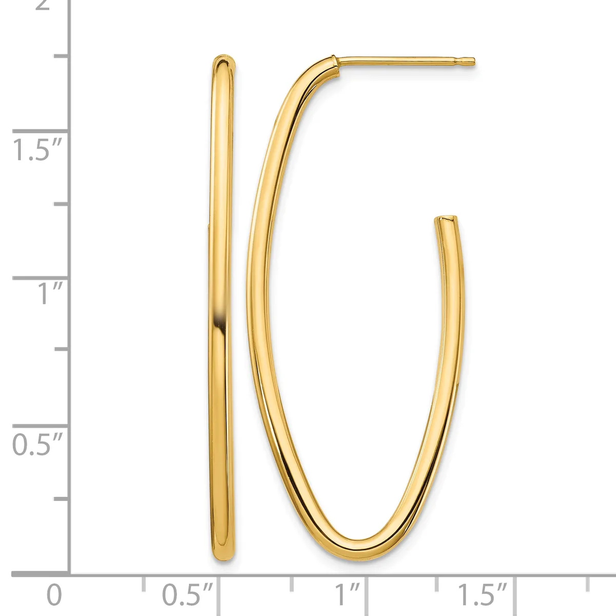 Two gold hoop earrings displayed against a measurement scale, one straight and one curved, each approximately 1.5 inches tall.