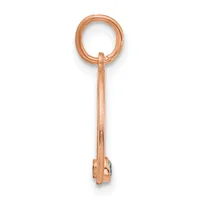 A copper-colored metal key with an ornate oval head and textured shaft, shown vertically against a white background.