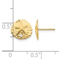 Gold starfish earring studs shown front and side view against a measurement scale indicating approximately 0.5 inch diameter.