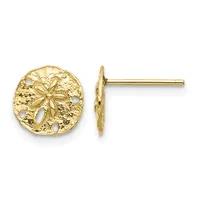 Pair of gold stud earrings featuring circular sand dollar designs with openwork details and textured surfaces, shown from front and side views.