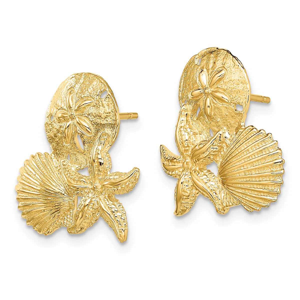 Pair of gold sand dollar and starfish stud earrings with textured finishes and post backs, shown from the front.