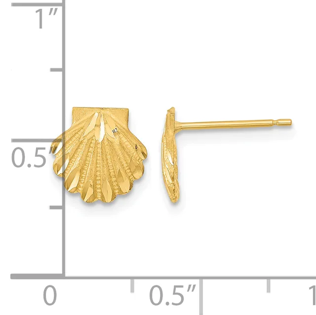 Gold shell-shaped stud earrings shown front and side view against a measurement scale indicating approximately half-inch height.