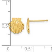 Gold shell-shaped stud earrings shown front and side view against a measurement scale indicating approximately half-inch height.