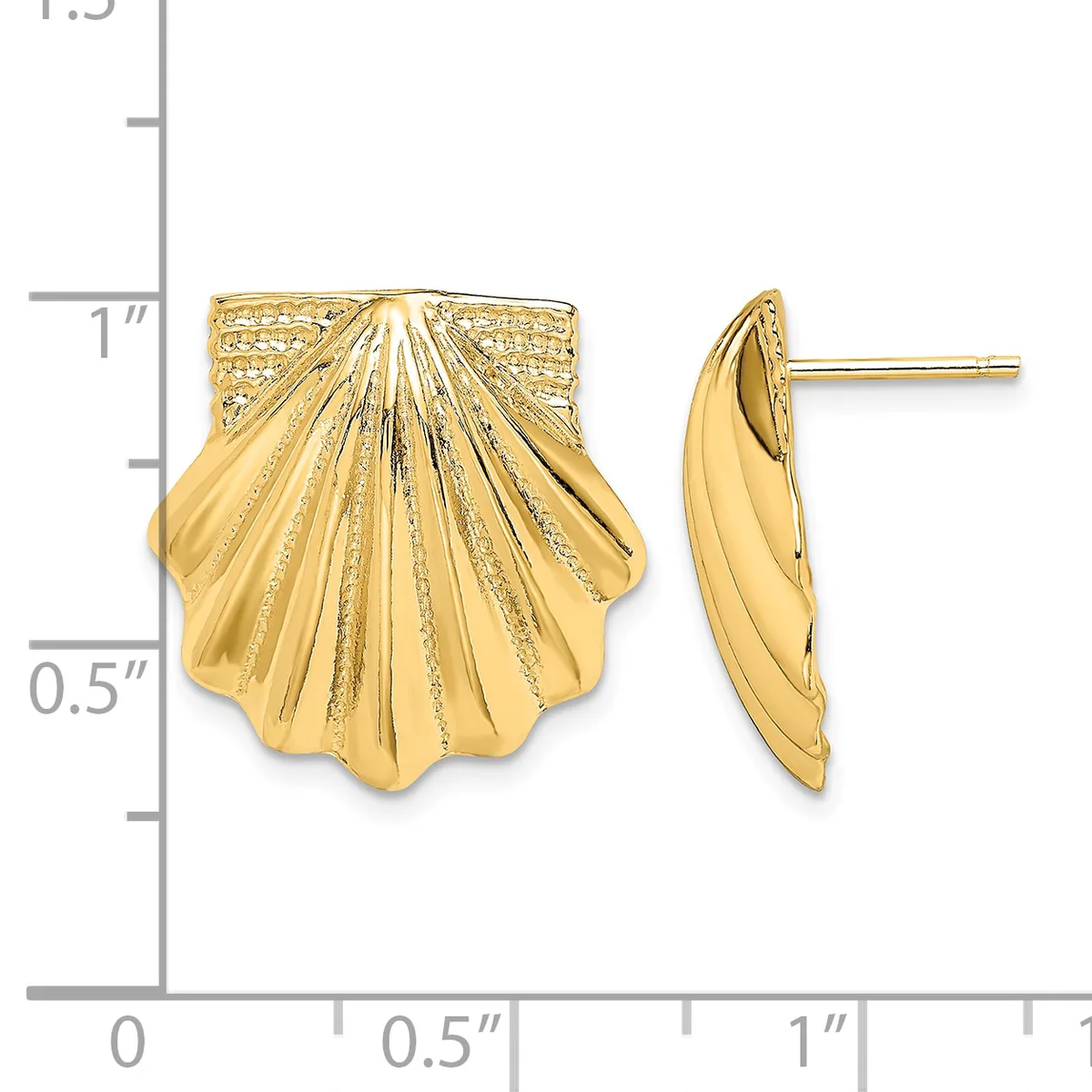 Gold shell-shaped stud earrings shown from front and side views on a measurement scale, approximately one inch tall with a textured finish.