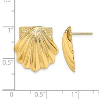 Gold shell-shaped stud earrings shown from front and side views on a measurement scale, approximately one inch tall with a textured finish.
