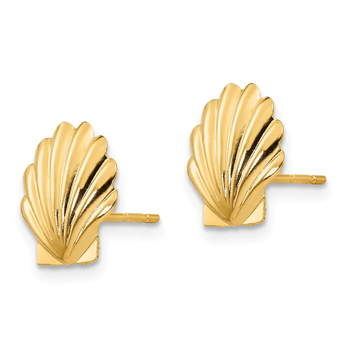 A pair of gold shell-shaped stud earrings with radiating ridged details and post backs, shown from the front.