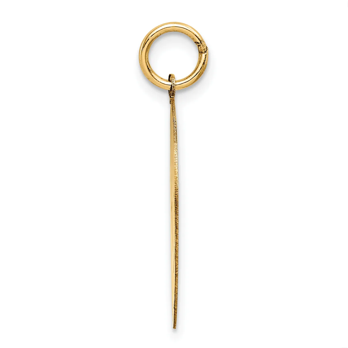 A gold-toned circular ring pendant with a long chain attached, displayed vertically against a white background.