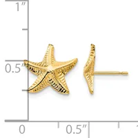 Gold-toned starfish stud earrings with textured details, shown from front and side views next to a measurement scale.