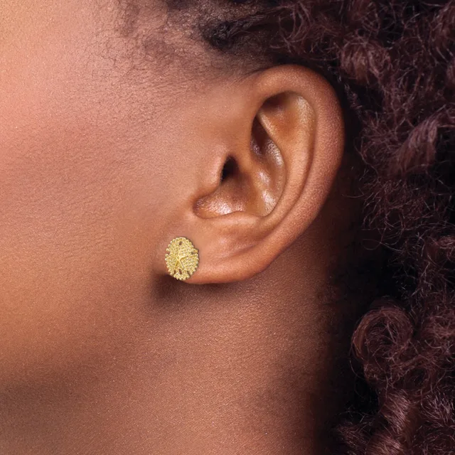 A person with dark curly hair wearing a small round textured gold stud earring in their pierced earlobe.