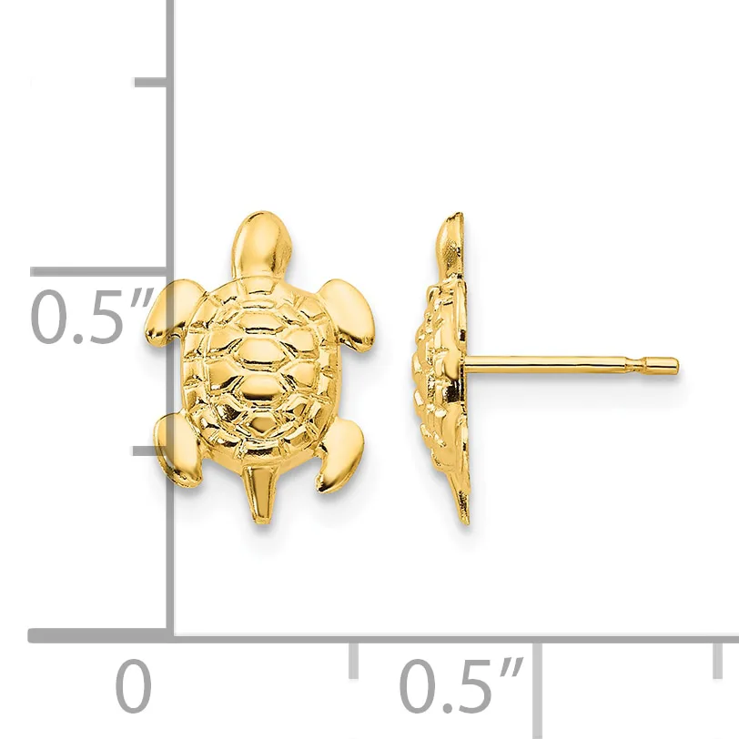 Gold turtle stud earrings shown from front and side view next to a measurement scale indicating approximately half an inch in size.
