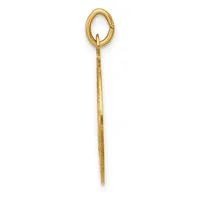 A long, slender gold-toned metal skewer or pin with an oval loop at the top and a pointed end.