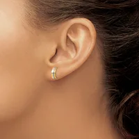 A person wearing a two-tone striped hoop earring in their earlobe, shown in profile against a neutral background.