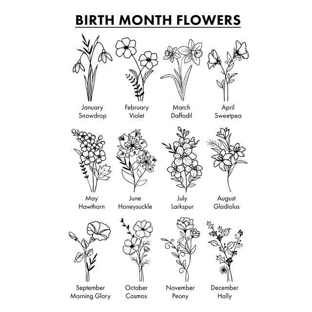 A chart showing twelve birth month flowers arranged in three rows, each illustrated with a line drawing and labeled with the month and flower name.