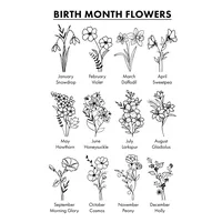 A chart showing twelve birth month flowers arranged in a grid, each labeled with its month and flower name, illustrated with black line drawings.