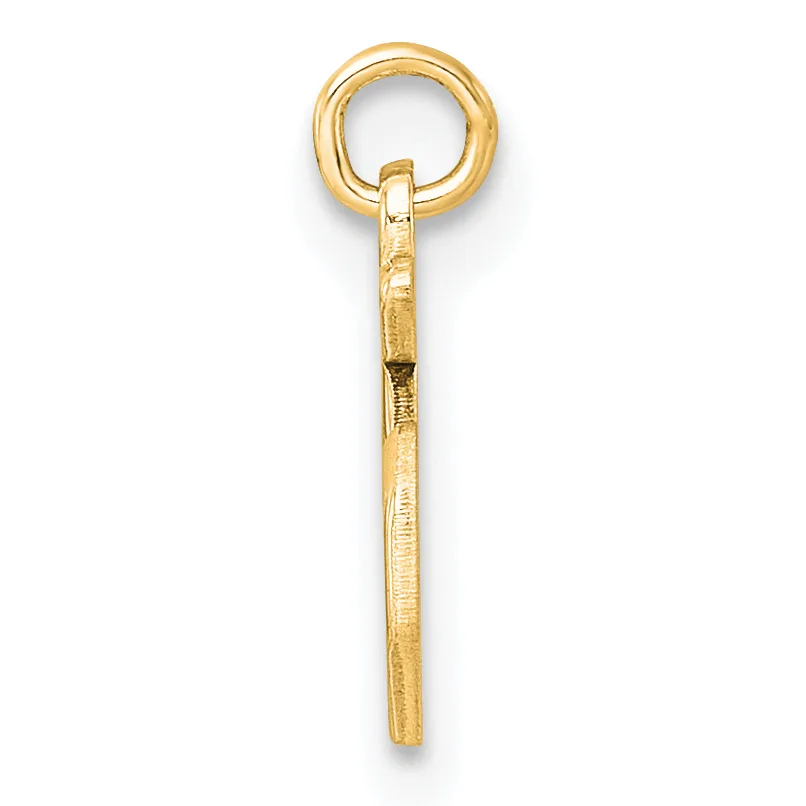 A gold eyehook with a rounded loop at the top and a textured cylindrical shaft extending downward.