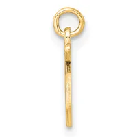 A gold eyehook with a rounded loop at the top and a textured cylindrical shaft extending downward.