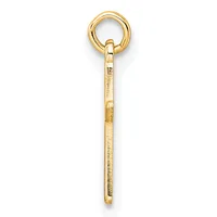 A gold eye hook with a textured shaft and small stamped hallmark, shown vertically against a white background.