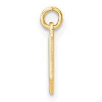 A polished gold-toned metal eye hook with a rounded loop at the top and a threaded shaft below, shown vertically against a white background.