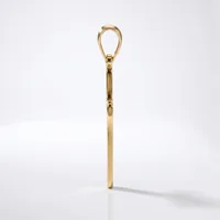 A polished brass shoehorn with an elongated handle and a teardrop-shaped loop at the top, shown standing upright against a white background.