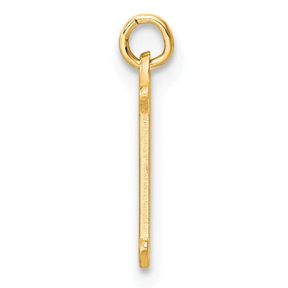 A long, slender gold screw-eye hook with a looped top and threaded shaft, shown vertically against a white background.