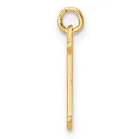 A long, slender gold screw-eye hook with a looped top and threaded shaft, shown vertically against a white background.