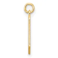A long, thin gold charm with a loop at the top and a split ring attachment, displayed vertically against a white background.