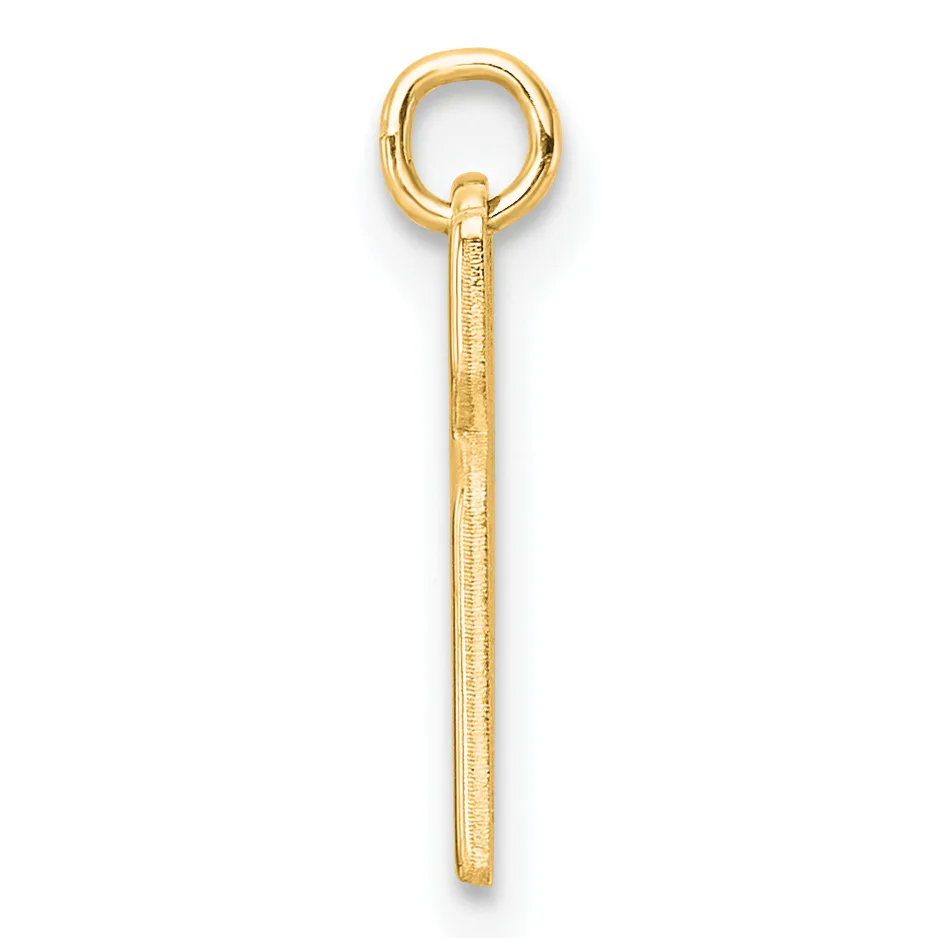 A gold eye hook pendant with a textured cylindrical shaft and a loop at the top, shown against a white background.