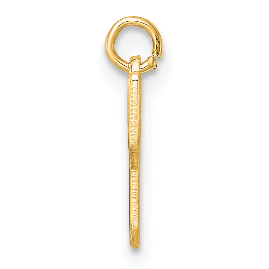 A gold-colored metal eye hook with a textured shaft and a small stamped hallmark, shown against a white background.
