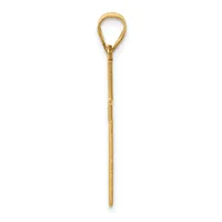 A long thin gold-toned metal stick with a loop at the top end and decorative banding near the loop, shown vertically against a white background.