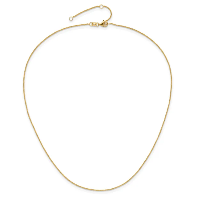 Gold-toned chain necklace with a lobster clasp and small adjustable loop at the top, displayed against a white background.