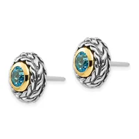 A pair of oval stud earrings featuring blue gemstones set in gold bezels surrounded by ornate twisted silver frames, shown from the front.