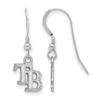 Pair of silver-toned drop earrings with fish hook wires, each featuring a decorative bead and an outlined "TB" charm pendant.