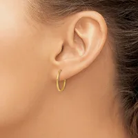 A close-up side view of a person's ear wearing small gold hoop earrings.