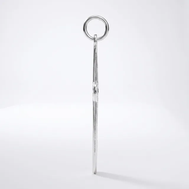 A long slender metal rod with a small loop at the top and a circular ring attached to the loop, displayed vertically against a white background.