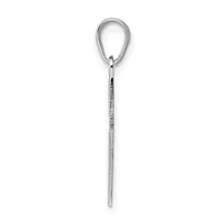 A long silver spoon with a loop handle at the top and a thin rounded bowl, displayed vertically against a white background.