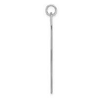A long, thin silver stick with a small loop at the top end, shown vertically against a white background.