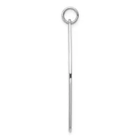 A long silver pendant consisting of a ring at the top connected to a thin tapered rod with a small dark band near the middle.