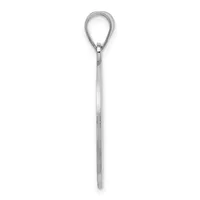 A long silver eye hook with a teardrop-shaped loop at the top and a straight shaft tapering to a point at the bottom, shown against a white background.