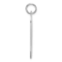 A long silver chain necklace with a ring attached at the top, displayed vertically against a white background.