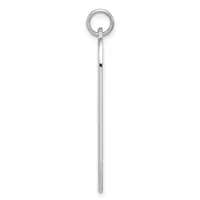 A long silver pendant consisting of a thin cylindrical rod with a small dark band near the top, suspended from a circular loop at the end.