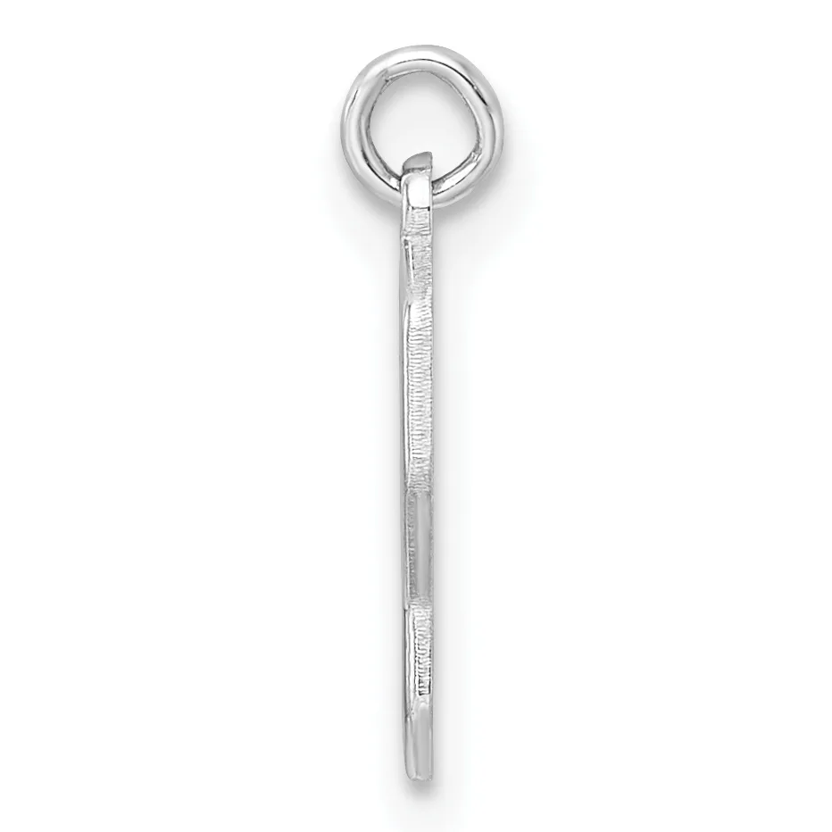 A long silver eyehole pin with a textured shaft and a polished round loop at the top, displayed vertically against a white background.