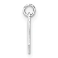 A silver eyehook screw with a threaded shaft and a looped eye at the top, shown against a white background.