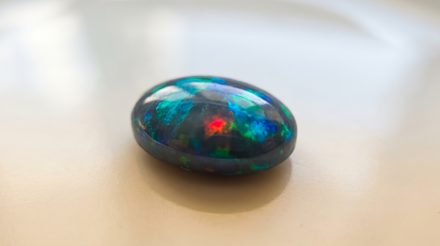 An oval opal cabochon with a dark body on a pale surface, broad flashes of green and blue across its dome and one bright patch of red